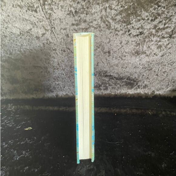 A Long Petal of the Sea by Isabel Allende | 2020 | Historical Romance - Picture 14 of 15